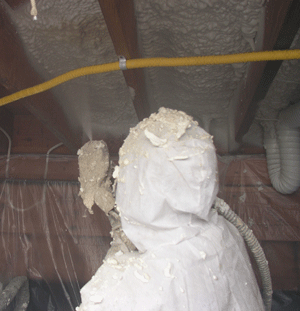 Edmonton AB crawl space insulation